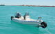 Half-Day Whale Watching Sunset Cruise From Broome - thumb 4