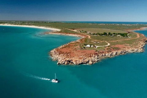 Half-Day Whale Watching Sunset Cruise From Broome - Tourism TAS 10