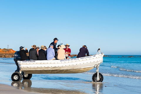 Half-Day Whale Watching Sunset Cruise From Broome - Tourism TAS 11