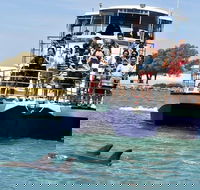 Mandurah Dolphin and Scenic Marine Cruise - Tourism TAS