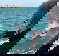 Mandurah Dolphin Island Adventure - Tourism TAS