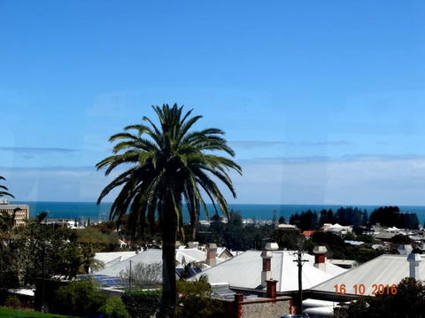 Perth Hop-On Hop-Off Bus Tour - Tourism TAS 4