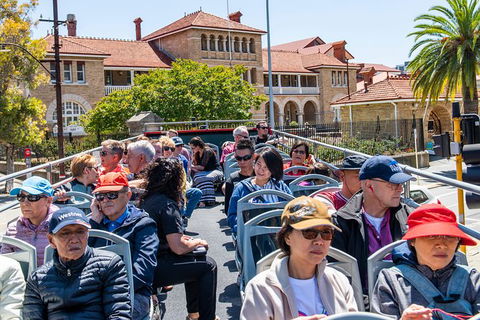 Perth Hop-On Hop-Off Bus Tour - Tourism TAS 16