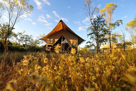 APT Kimberley Wilderness Adventures Purnululu (Bungle Bungle) 4WD Experience - Hobart Tourism 10