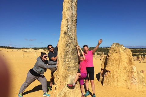 Private Pinnacles Day Tour - Tourism TAS 1