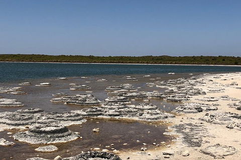 Private Pinnacles Day Tour - Tourism TAS 4