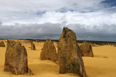 Private Pinnacles Day Tour - Tourism TAS 7
