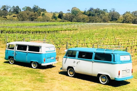 VW Kombi Wine Tour In The Swan Valley - Tourism TAS 6