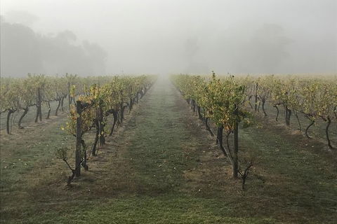 2-Day Yarra Valley Wine Tour With Luxury Vineyard Resort Stay - Hobart Tourism 11