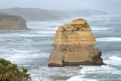 Great Ocean Road Private Tour - Hobart Tourism 4