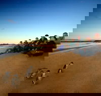 Phillip Island Ultimate Penguin Eco Tour or Skybox Experience - Tourism TAS