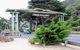 Full-Day Great Ocean Road And 12 Apostles Sunset Tour From Melbourne - thumb 22