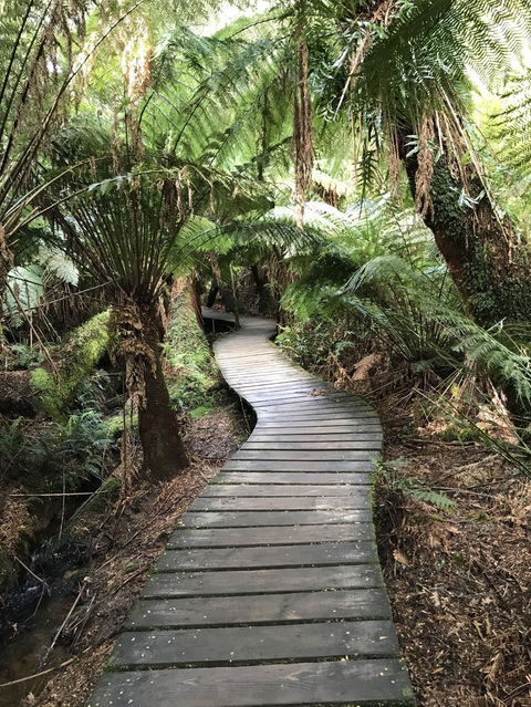 Full-Day Great Ocean Road And 12 Apostles Sunset Tour From Melbourne - Hobart Tourism 8
