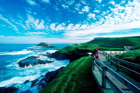 Phillip Island Penguin Parade Express Tour From Melbourne - Hobart Tourism 8