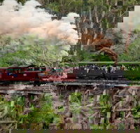 Melbourne Combo Great Ocean Road Puffing Billy Moonlit Sanctuary  Penguins