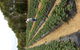 Mornington Peninsula Including Strawberry Farm Day Tour From Melbourne - thumb 2