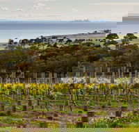 Bellarine Peninsula Small Group Wine Tour with 2 Course Lunch and Morning Tea