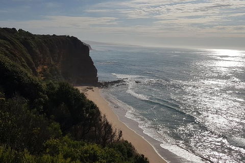 Full-Day Great Ocean Road Tour From Melbourne - Hobart Tourism 5