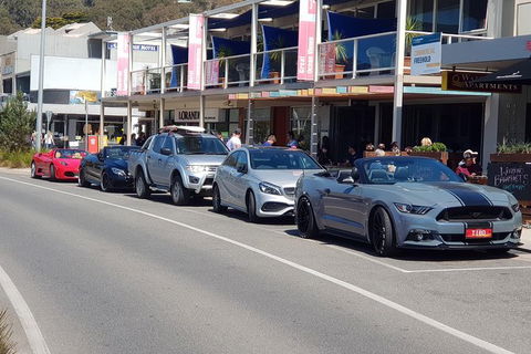 Full-Day Great Ocean Road Tour From Melbourne - Hobart Tourism 10