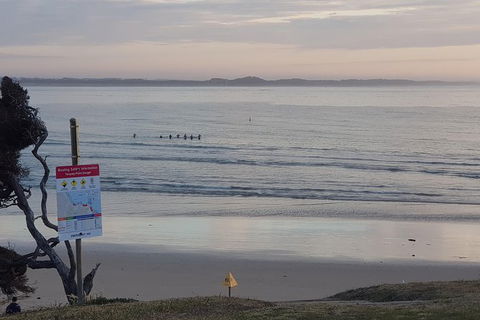 Full-Day Great Ocean Road Tour From Melbourne - Hobart Tourism 12