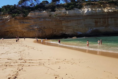 Full-Day Great Ocean Road Tour From Melbourne - Hobart Tourism 3