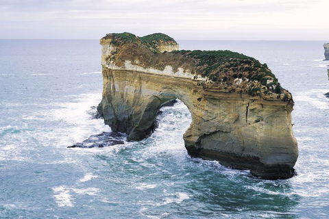 Full-Day Great Ocean Road Tour From Melbourne - Hobart Tourism 4