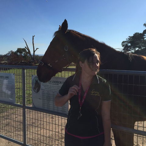 Champion Racehorse Tour With Beer And Wine Tasting - Hobart Tourism 4