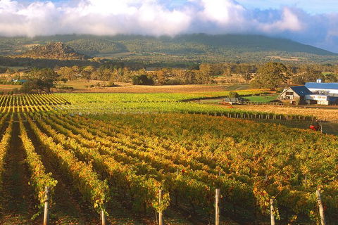 Champion Racehorse Tour With Beer And Wine Tasting - Hobart Tourism 6