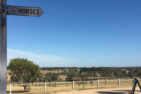 Champion Racehorse Tour With Beer And Wine Tasting - Hobart Tourism 7