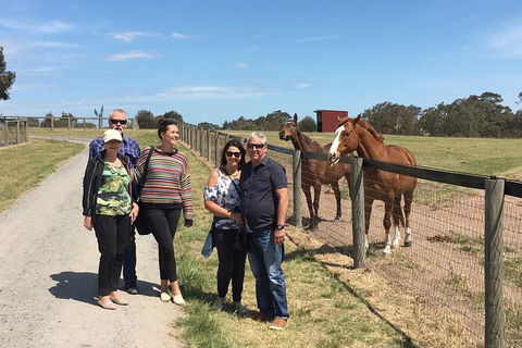 Champion Racehorse Tour With Beer And Wine Tasting - Hobart Tourism 10