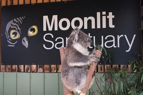 Small-Group Phillip Island Day Trip From Melbourne - Hobart Tourism 7