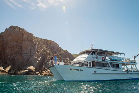 Wilsons Promontory Full Day Cruise - Hobart Tourism 4