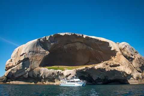 Wilsons Promontory Full Day Cruise - Hobart Tourism 7