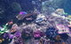 SEA LIFE Melbourne Aquarium Admission Ticket - thumb 3
