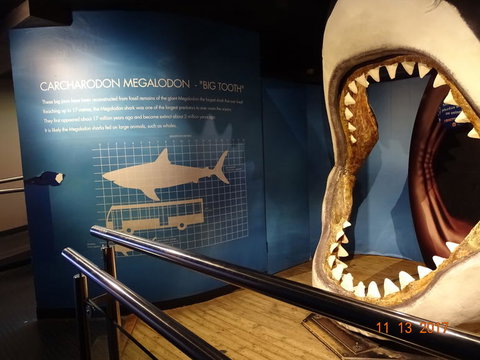 SEA LIFE Melbourne Aquarium Admission Ticket - Tourism TAS 10
