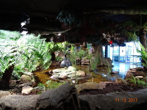 SEA LIFE Melbourne Aquarium Admission Ticket - Tourism TAS 2