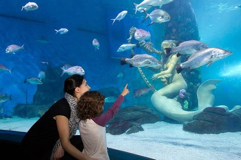 SEA LIFE Melbourne Aquarium Admission Ticket - Tourism TAS 14