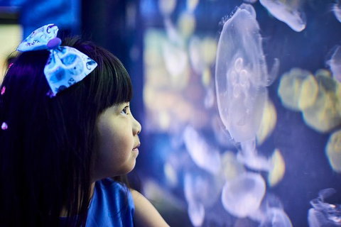 SEA LIFE Melbourne Aquarium Admission Ticket - Tourism TAS 17