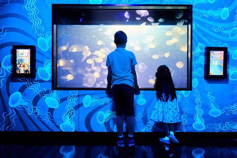 SEA LIFE Melbourne Aquarium Admission Ticket - Tourism TAS 18