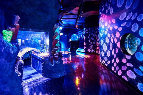 SEA LIFE Melbourne Aquarium Admission Ticket - Tourism TAS 13