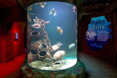 SEA LIFE Melbourne Aquarium Admission Ticket - Tourism TAS 23