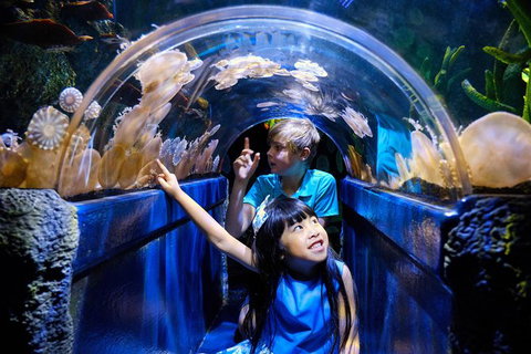 SEA LIFE Melbourne Aquarium Admission Ticket - Tourism TAS 12