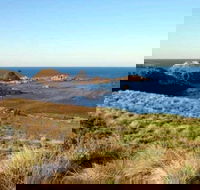 Phillip Island Walking  Bird Watching Tour - Tourism TAS