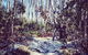 Melbourne Snow Trip To Lake Mountain Resort With Chocolates And Waterfalls - thumb 12