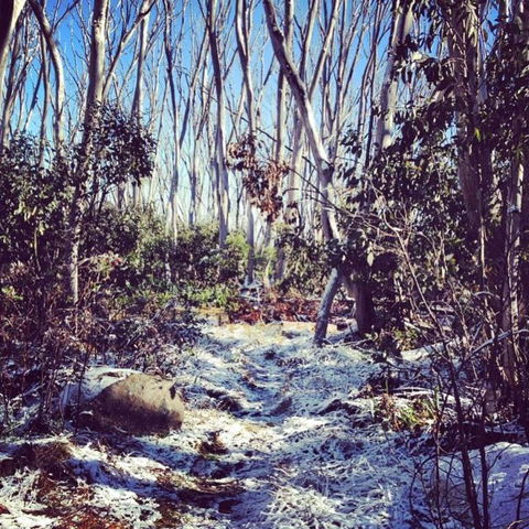 Melbourne Snow Trip To Lake Mountain Resort With Chocolates And Waterfalls - Hobart Tourism 12