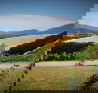 Romantic Private Yarra Valley Day Trip for Two from Melbourne