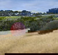Estate to Plate Montalto Vineyard Gourmet Lunch and Wine-Tasting Tour - Tourism TAS