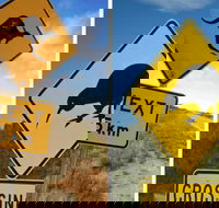Aroha Tangata Australia and New Zealand 20 day