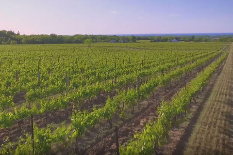 Macedon Ranges Small Group Wine Tour With 2 Course Lunch And Morning Tea - Tourism TAS 5