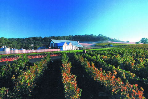 Macedon Ranges Small Group Wine Tour With 2 Course Lunch And Morning Tea - Tourism TAS 4